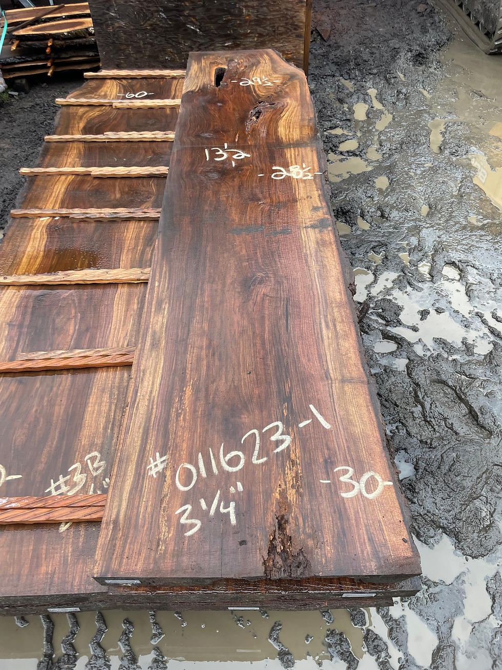 Thumbnail: Black Walnut 011623-1