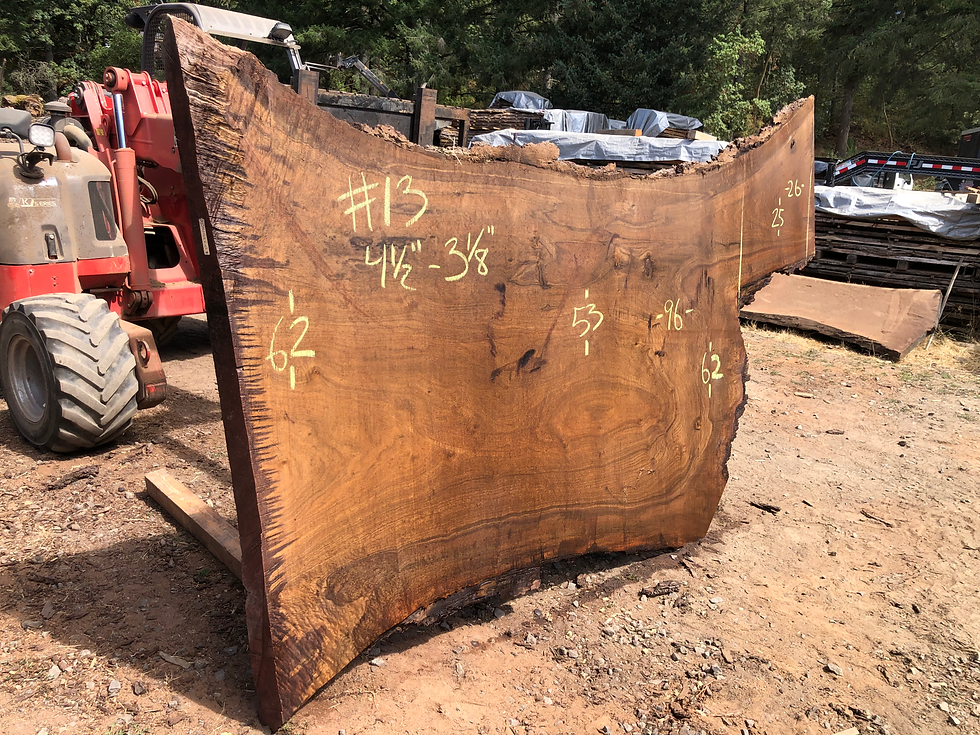 Thumbnail: Black Walnut 081822-13