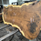 Thumbnail: Claro Walnut Cluster 032723-12
