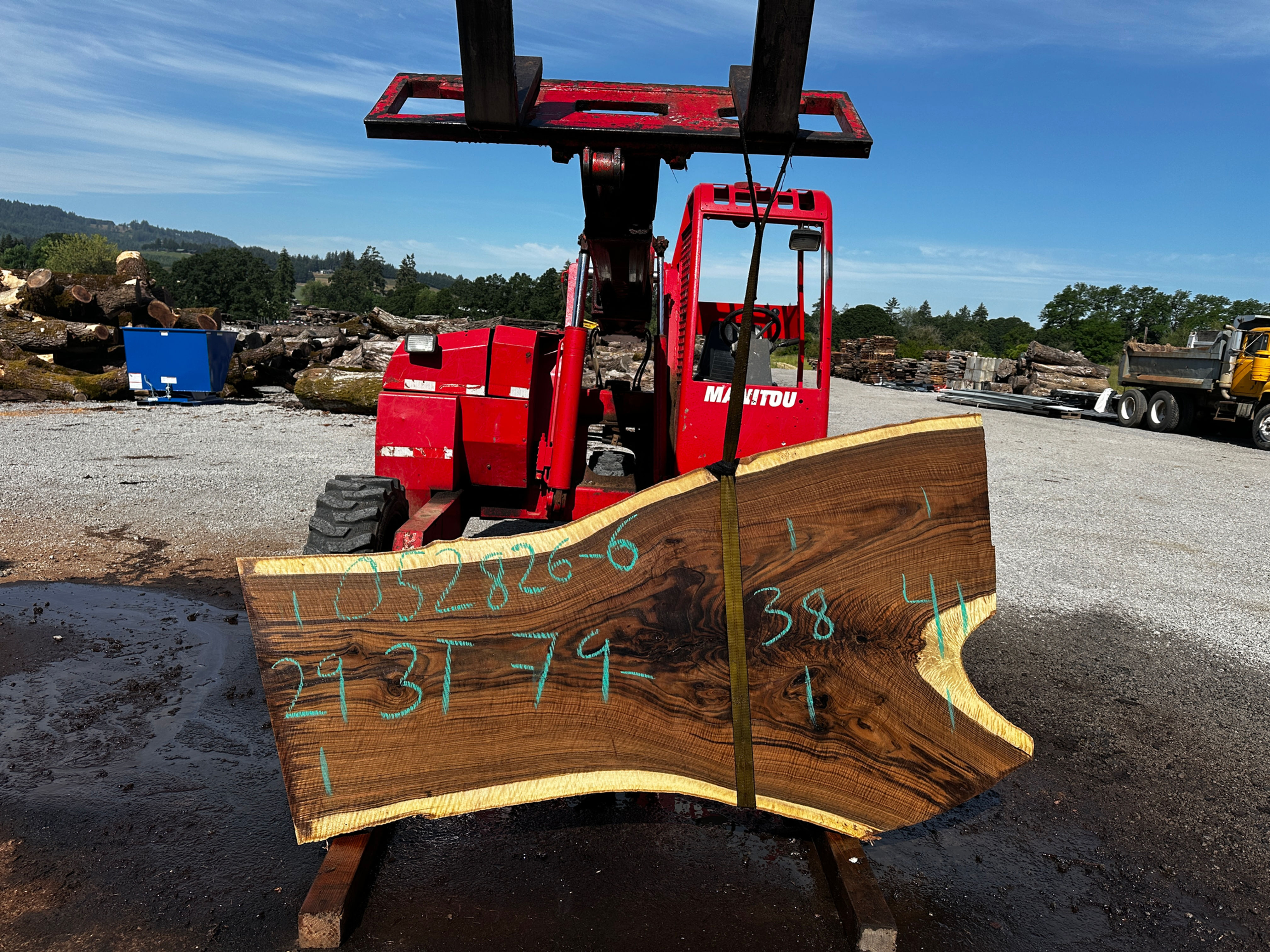 CURLY Claro Walnut 052826-6