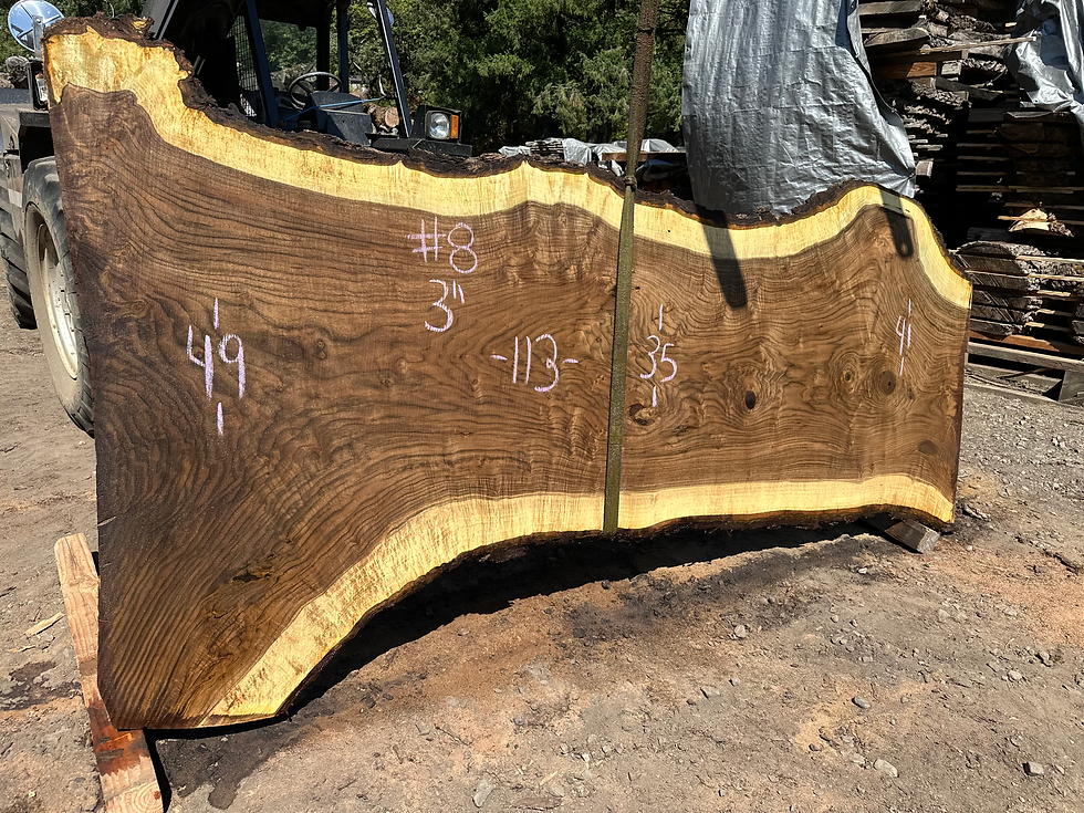 Thumbnail: Black Walnut 082324-8