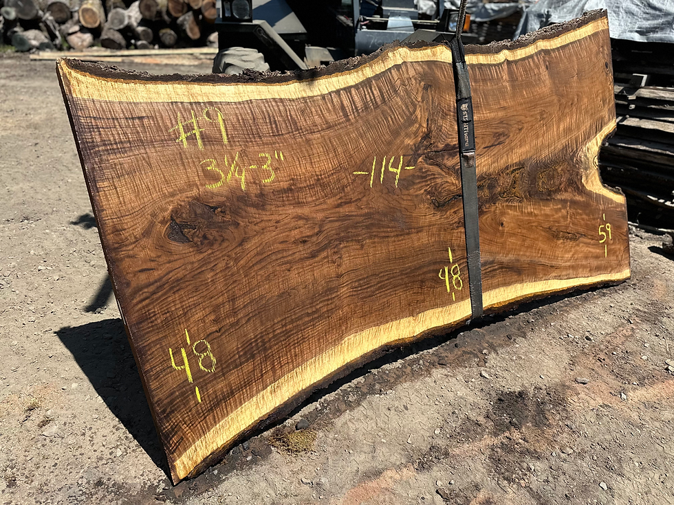 Thumbnail: Curly Black Walnut 053123-9