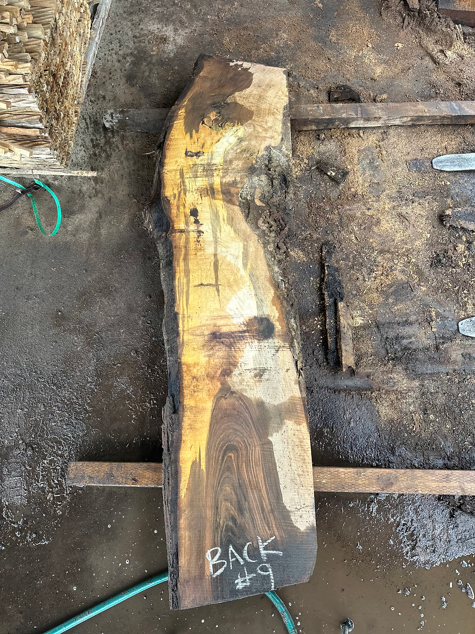 Thumbnail: Black Walnut 031825-9