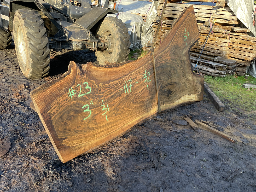 Thumbnail: Black Walnut 120121-23