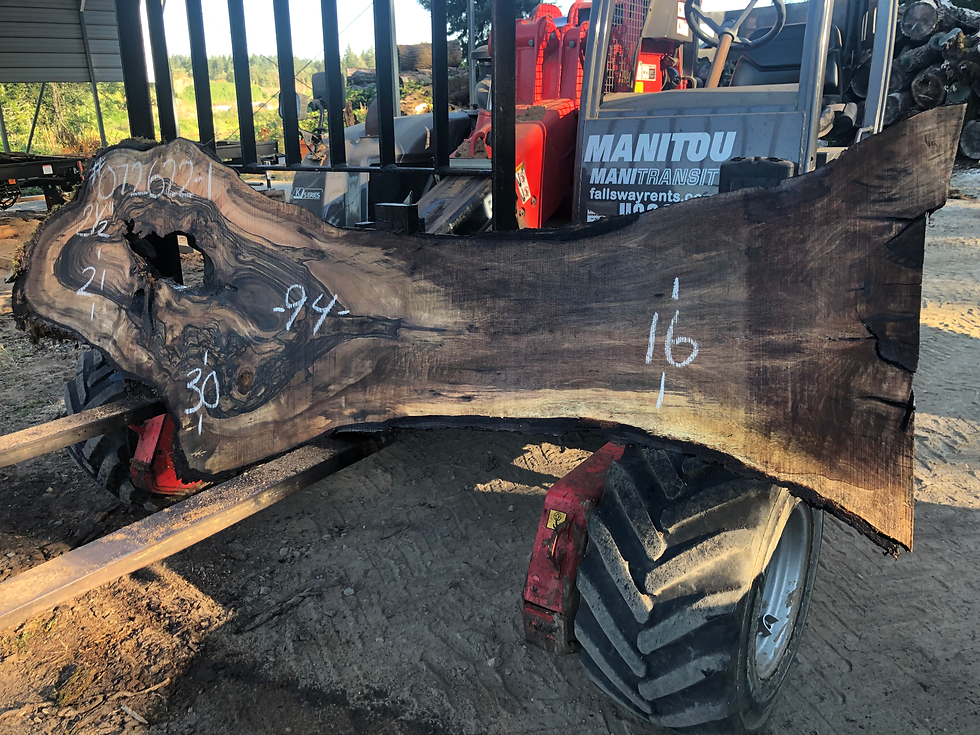Thumbnail: Black Walnut 072622-1