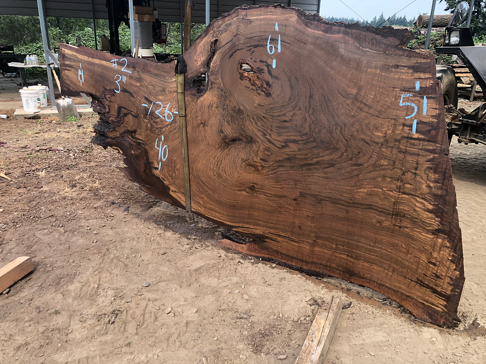 Thumbnail: Black Walnut 081822-2