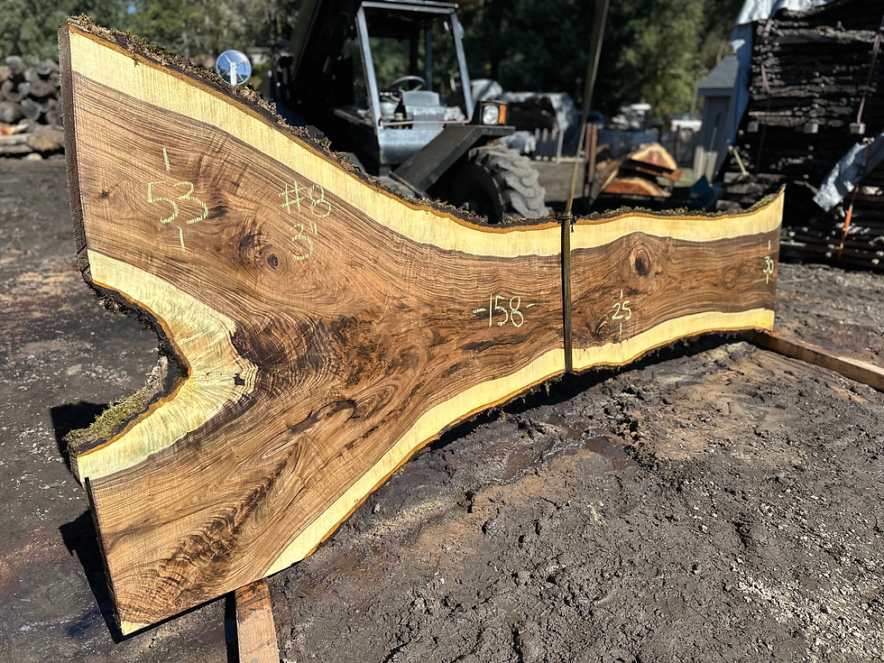 Thumbnail: Black Walnut 031424-8