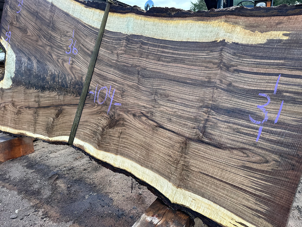 Thumbnail: Bastogne Walnut 052824-6