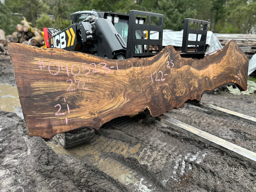 Thumbnail: Burly Black Walnut 040523-1