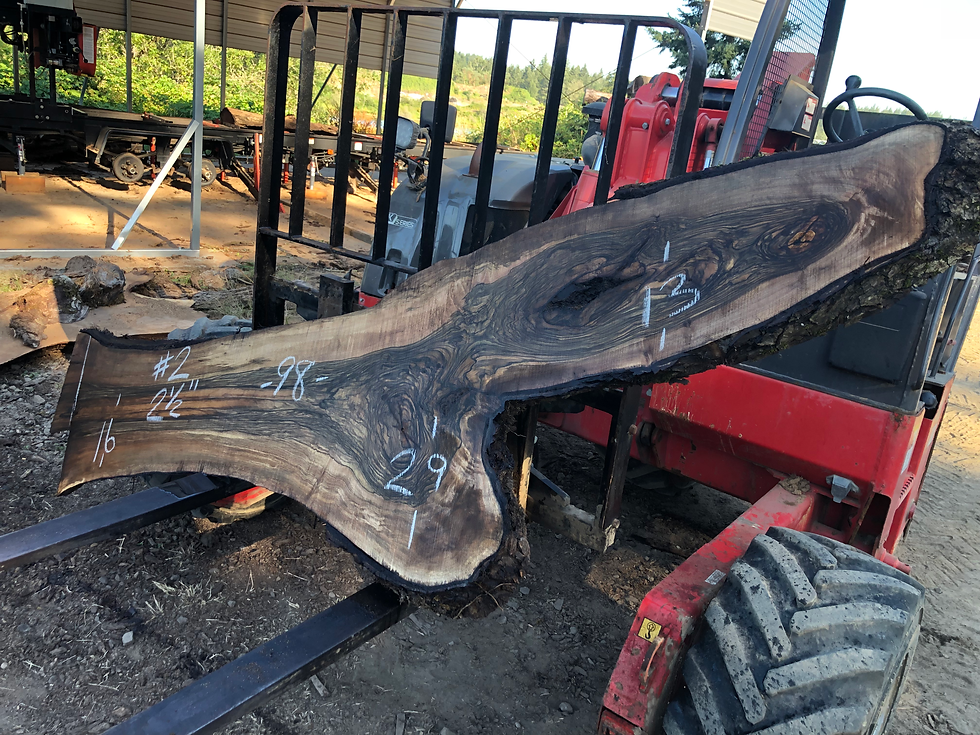 Thumbnail: Black Walnut 072522-2