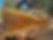 Thumbnail: Black Walnut 111723-10