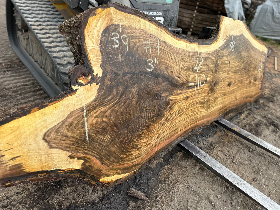 Thumbnail: Black Walnut 062525-9
