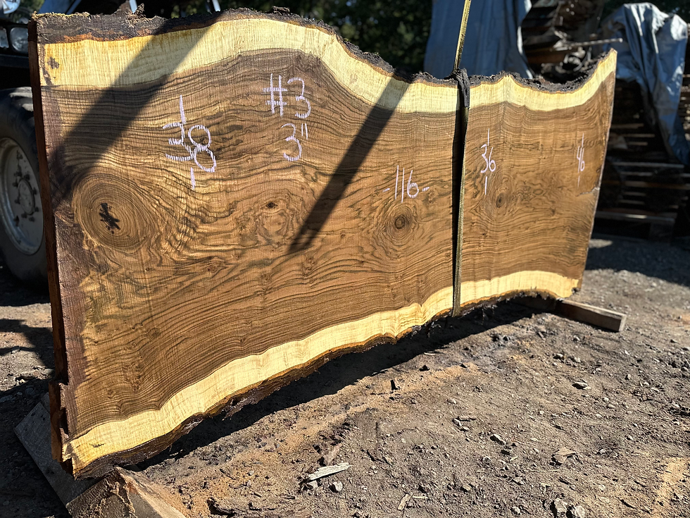Thumbnail: Black Walnut 082324-3
