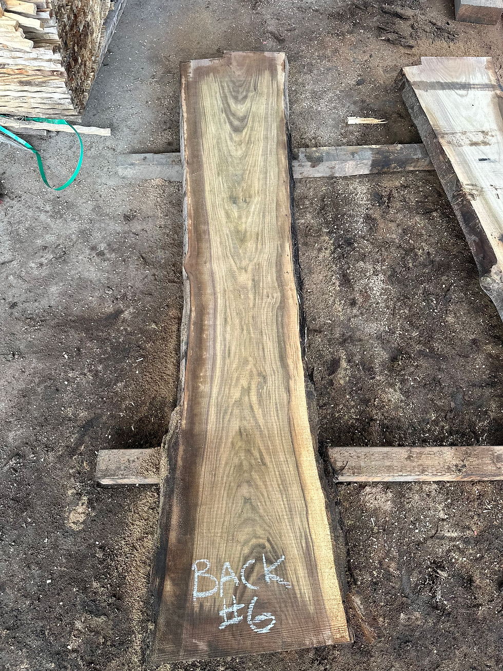 Thumbnail: Black Walnut 031825-6