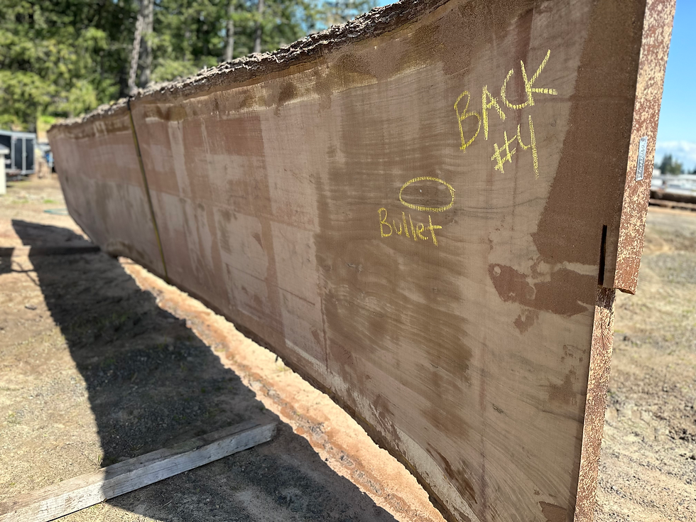 Thumbnail: Black Walnut 041423-4