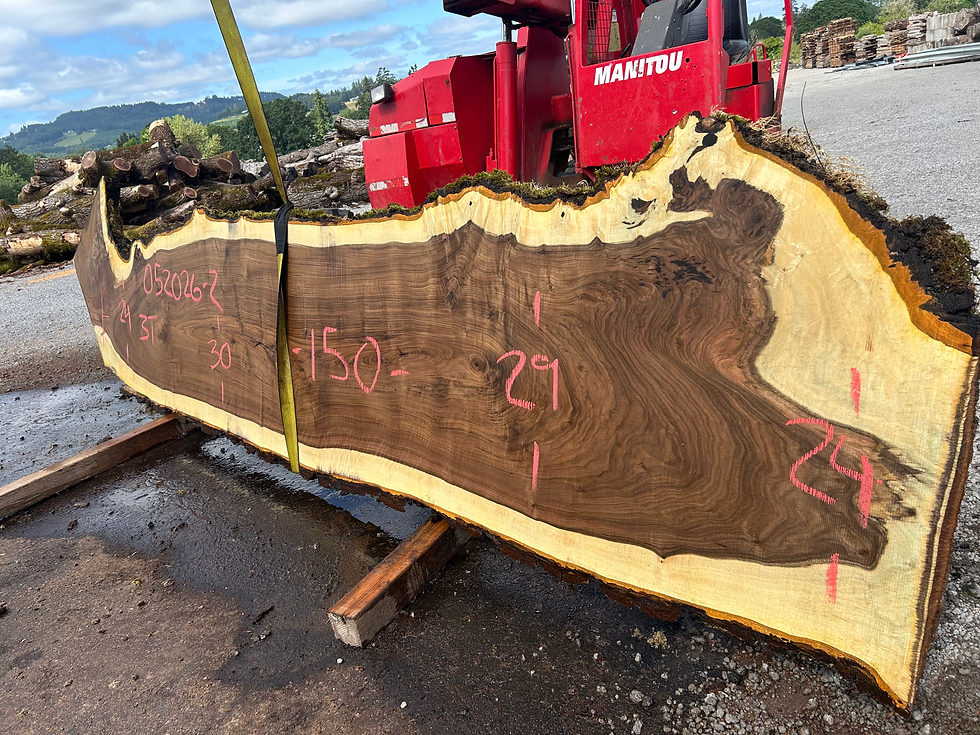 Thumbnail: Claro Walnut 052026-2