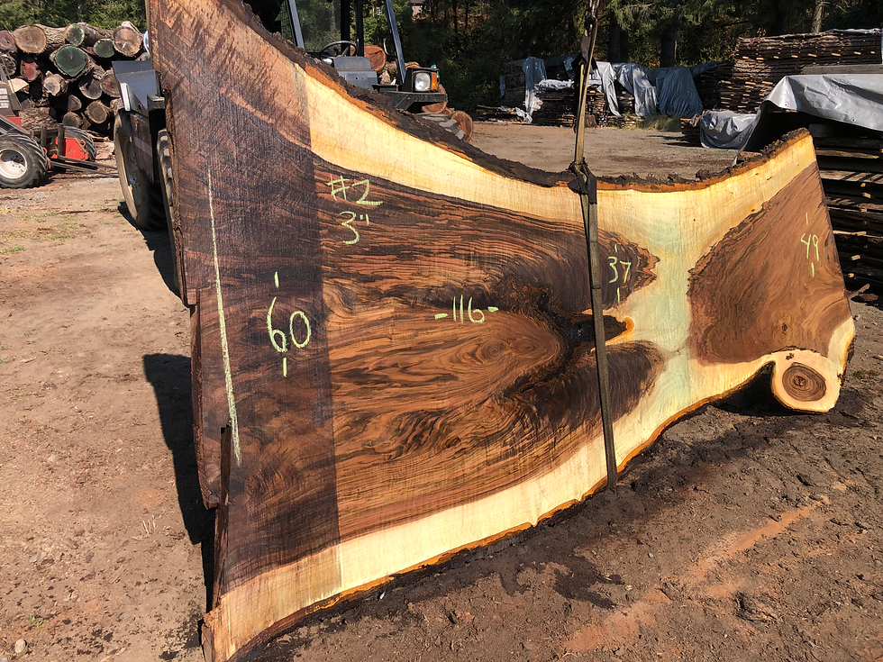 Thumbnail: Black Walnut 093022-2