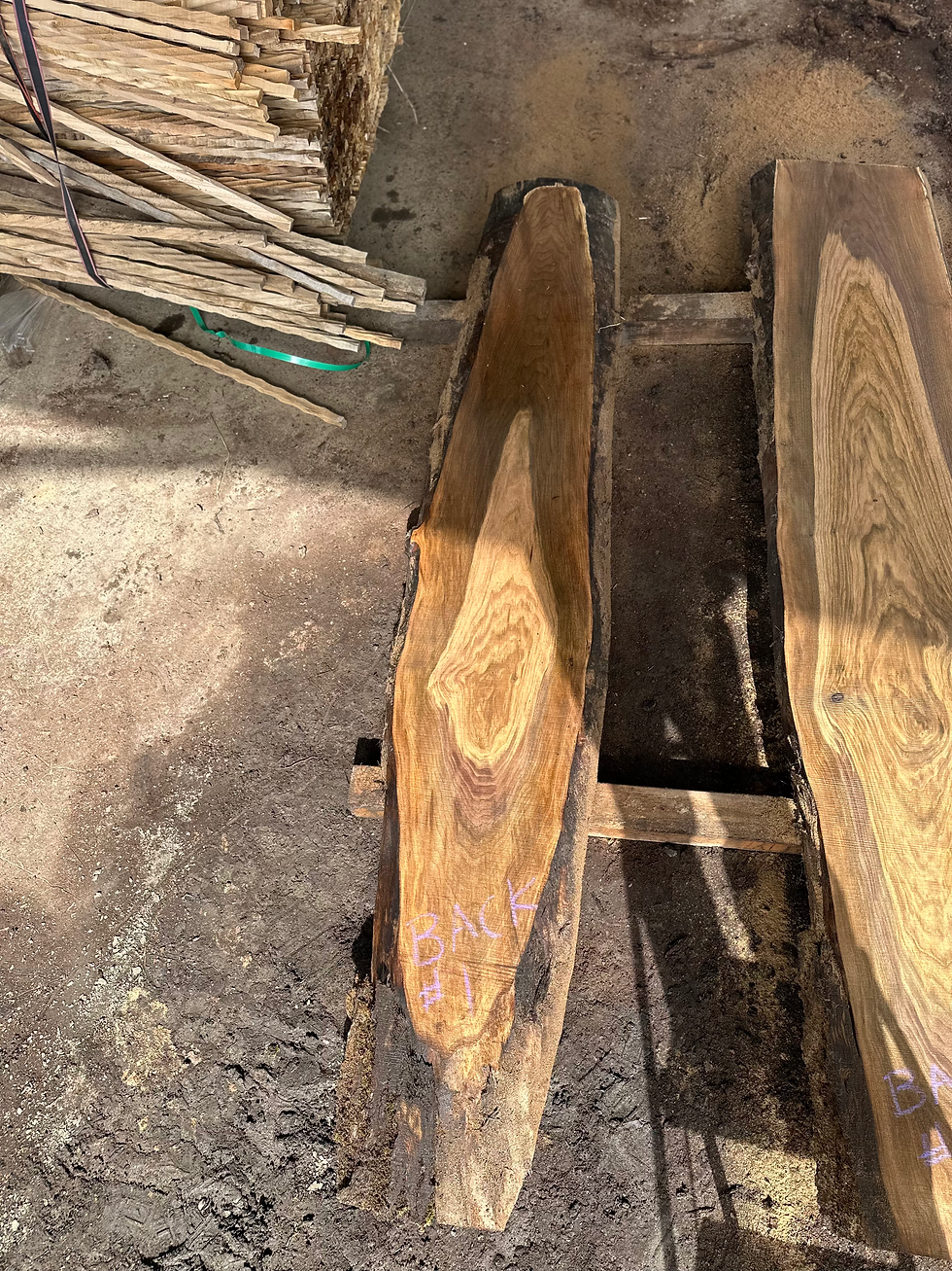 Thumbnail: Black Walnut 031825-1