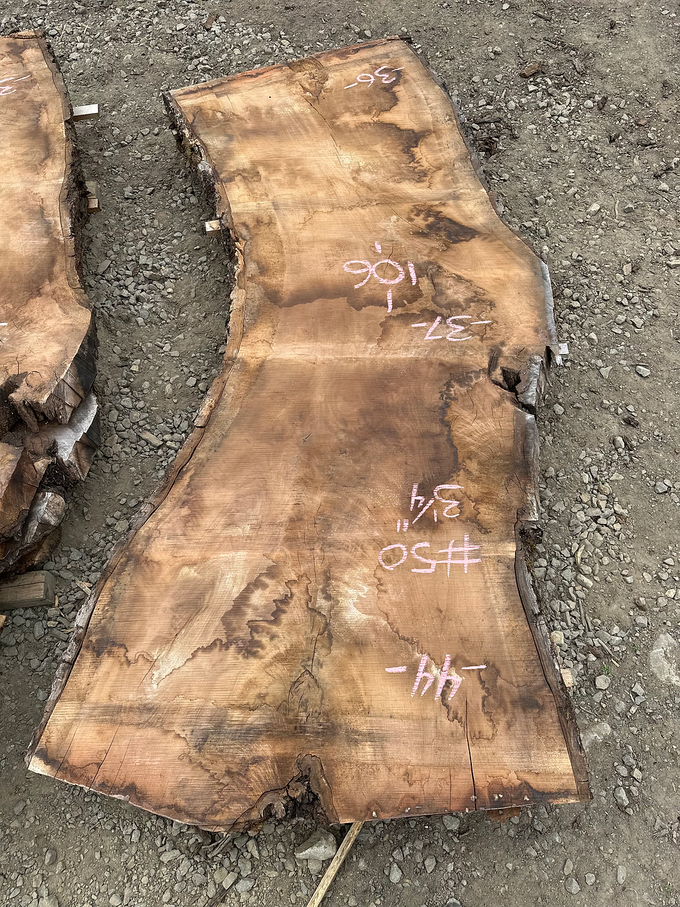 Thumbnail: Black Walnut 060922-50