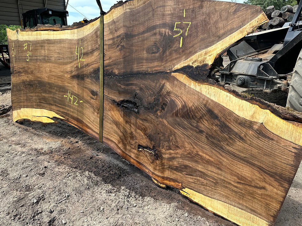 Thumbnail: Black Walnut 060623-7