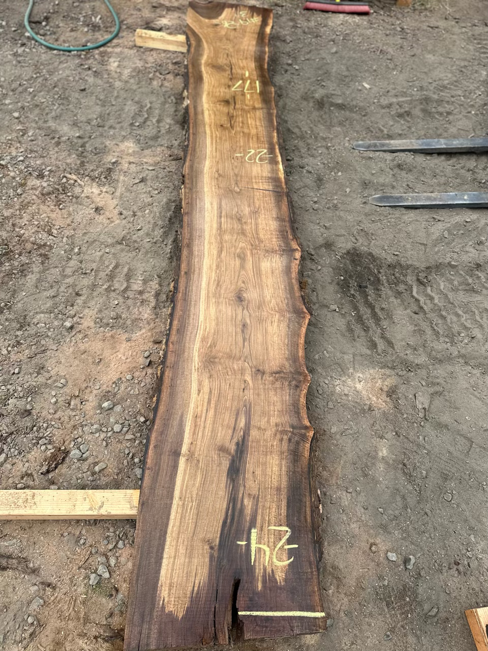 Thumbnail: Black Walnut 091323-19