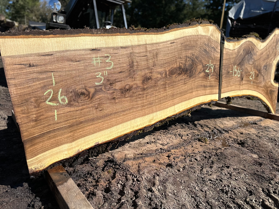 Thumbnail: Black Walnut 031824-3