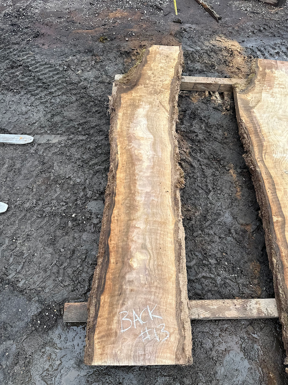 Thumbnail: Curly Black Walnut 032625-13