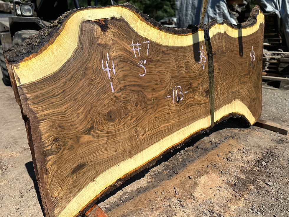 Thumbnail: Black Walnut 082324-7