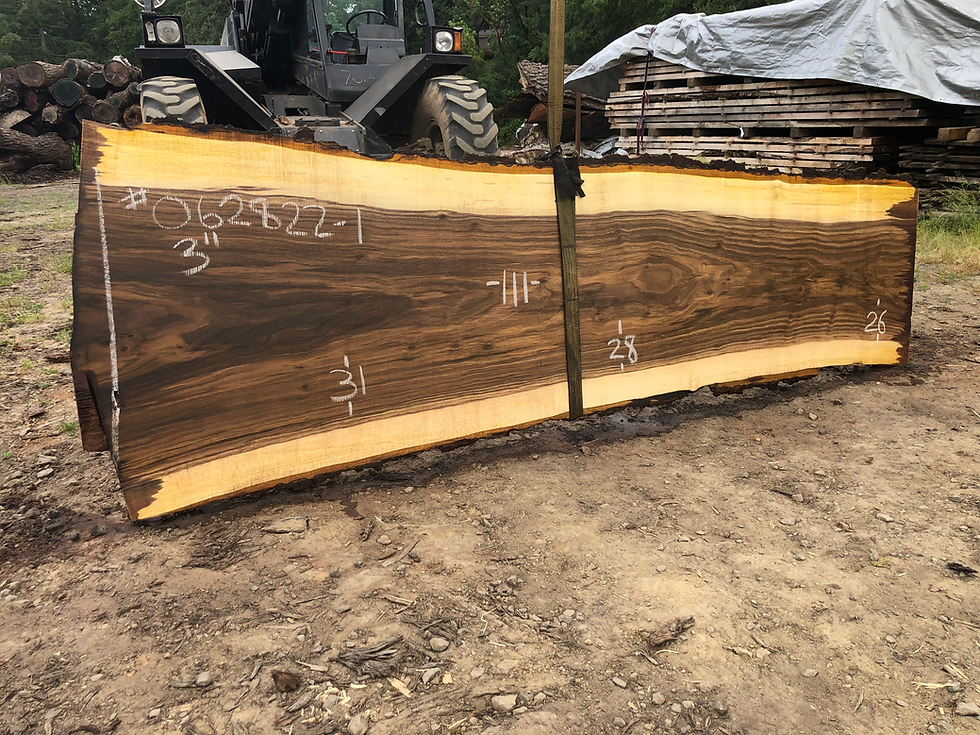 Thumbnail: Black Walnut 062822-1