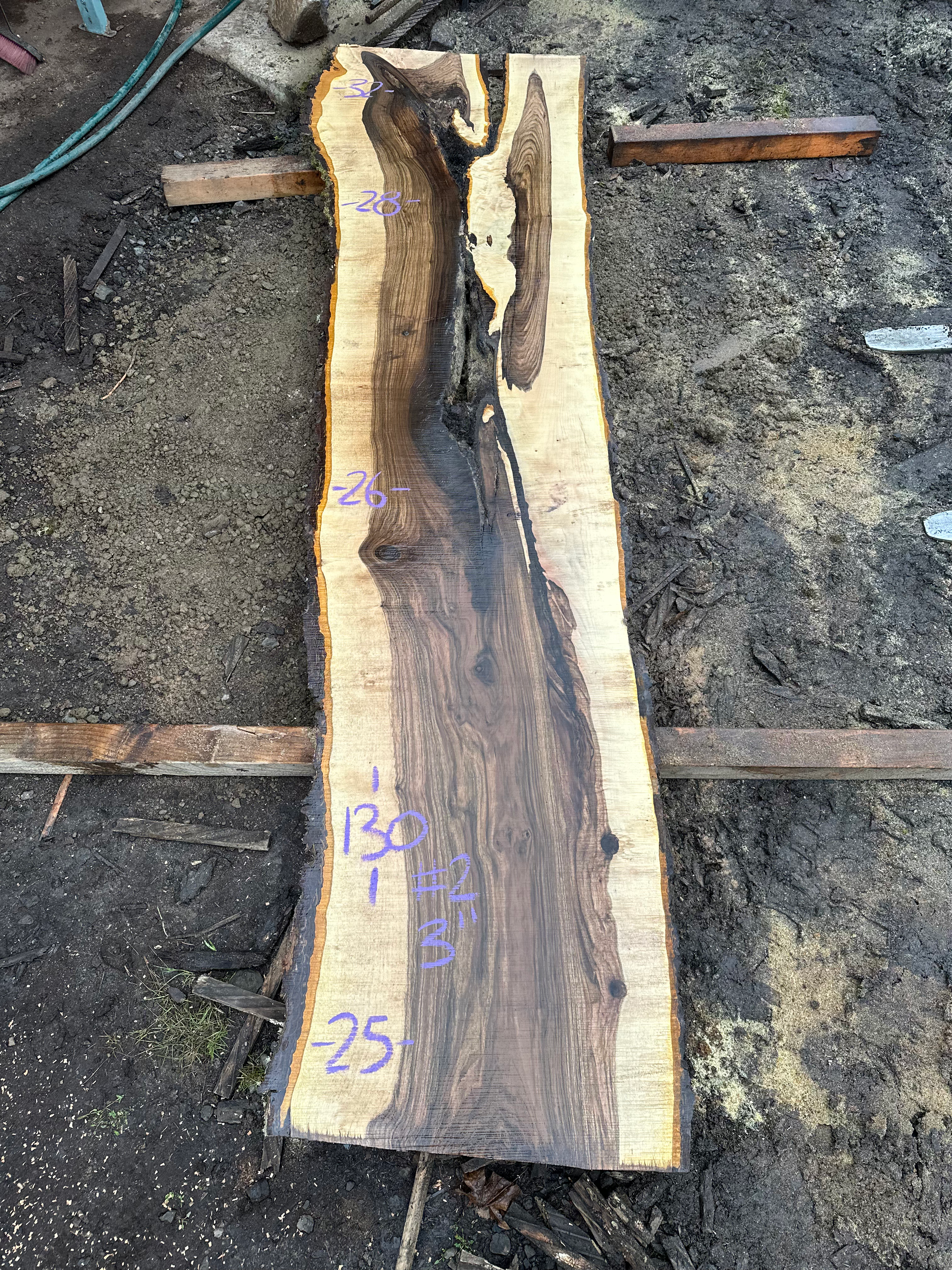 Bastogne Walnut 122123-2