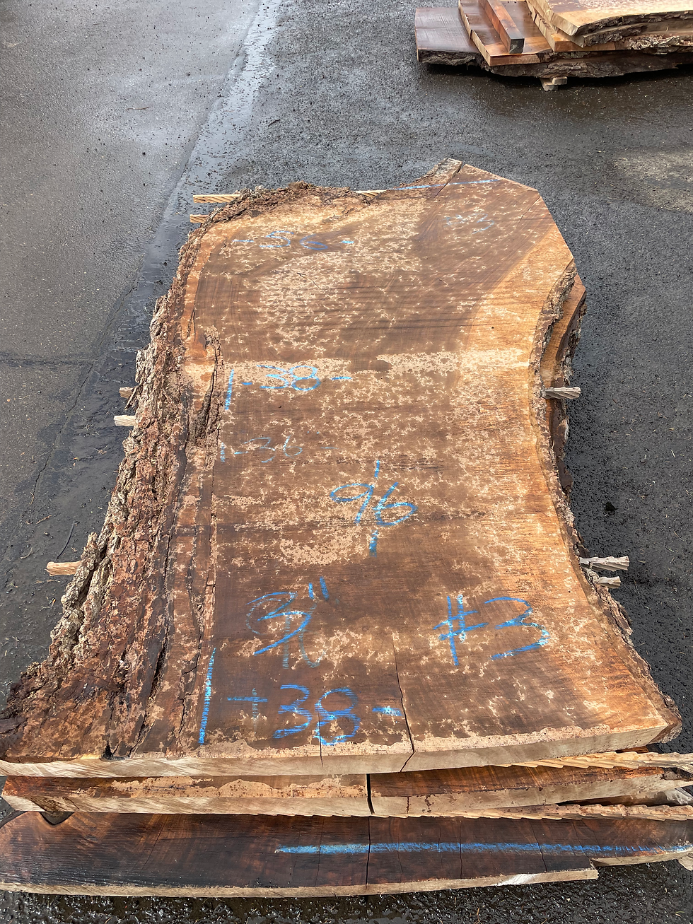 Black Walnut 040417-3