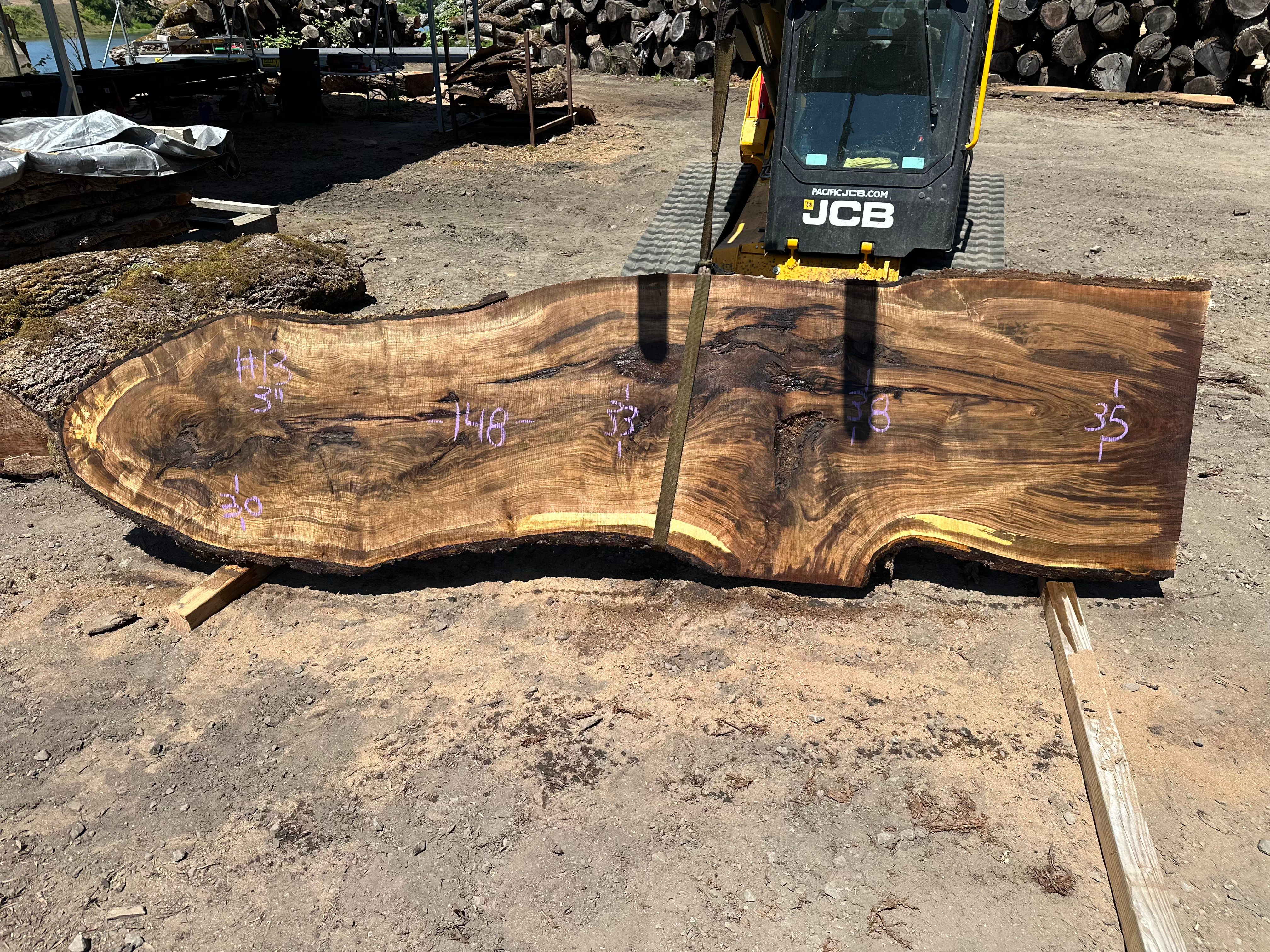 Black Walnut 052824-13