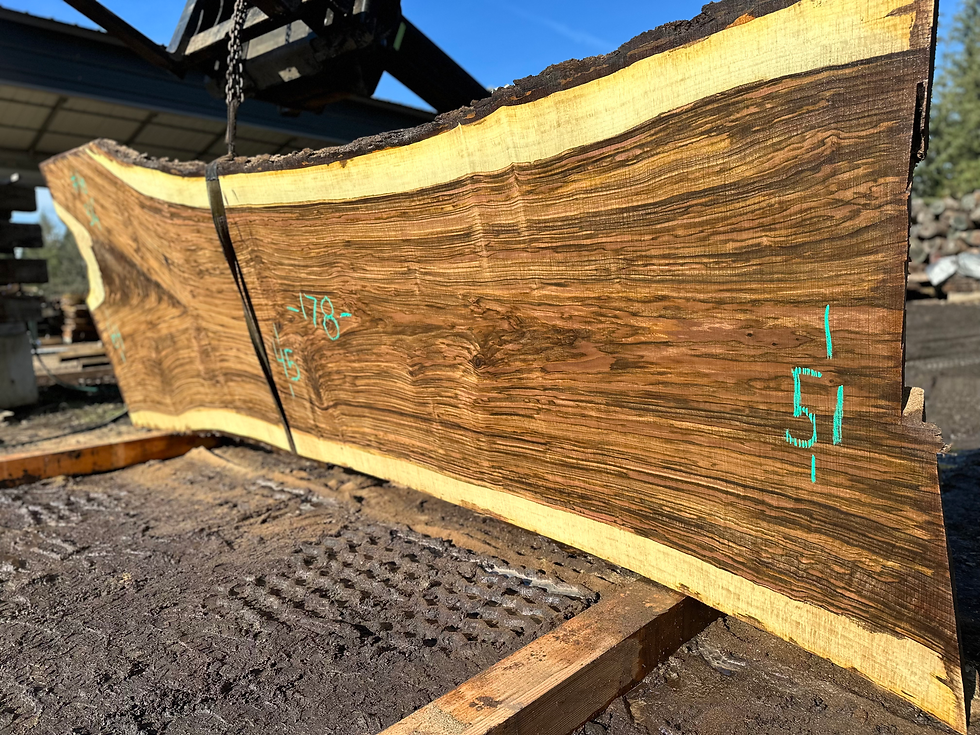 Thumbnail: Black Walnut 111723-16