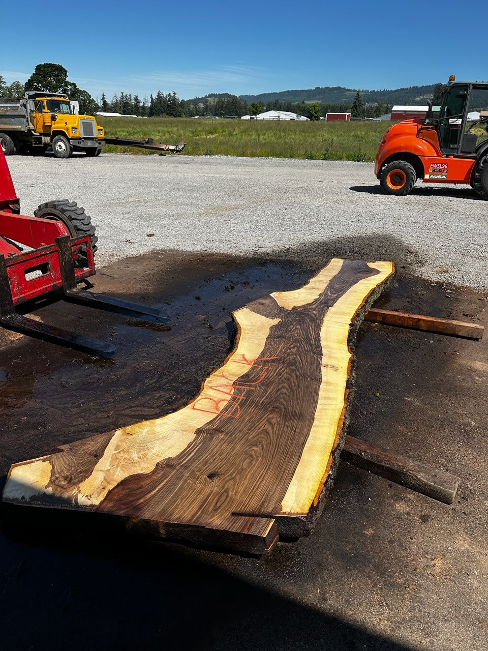 Thumbnail: Bastogne Walnut 052226-5