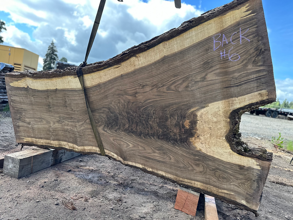 Thumbnail: Bastogne Walnut 052824-6