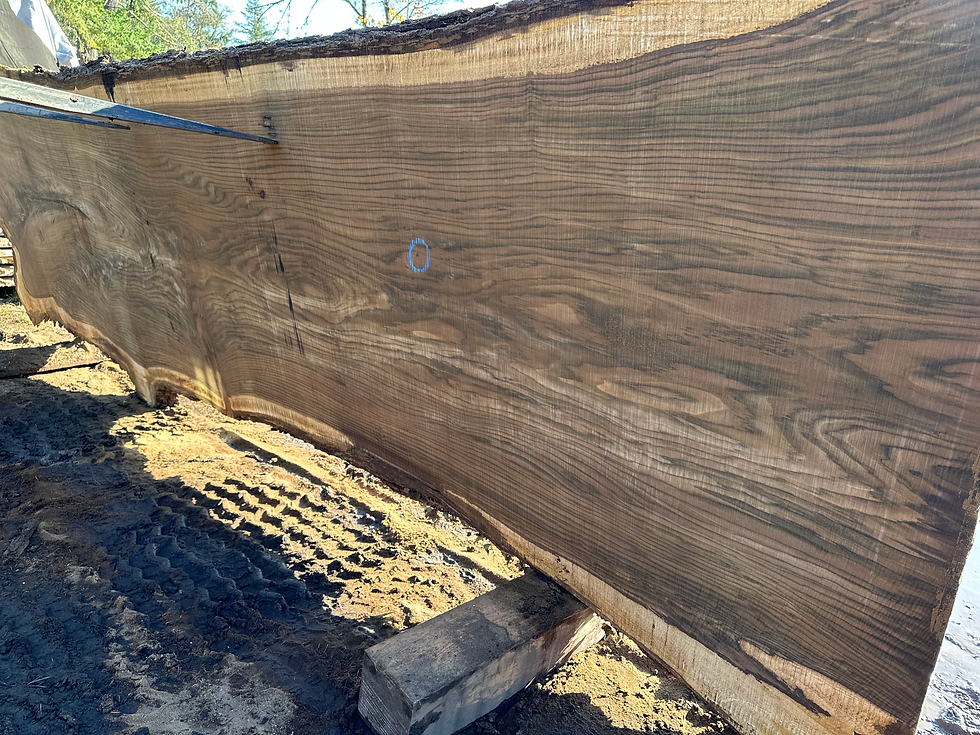Thumbnail: Black Walnut 111723-7