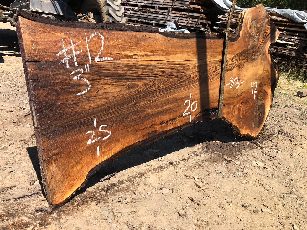 Thumbnail: English Walnut 071522-12