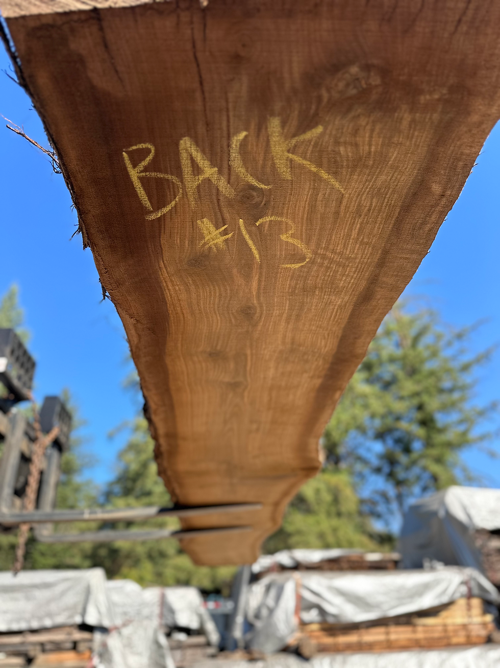 Thumbnail: Black Walnut 091323-13