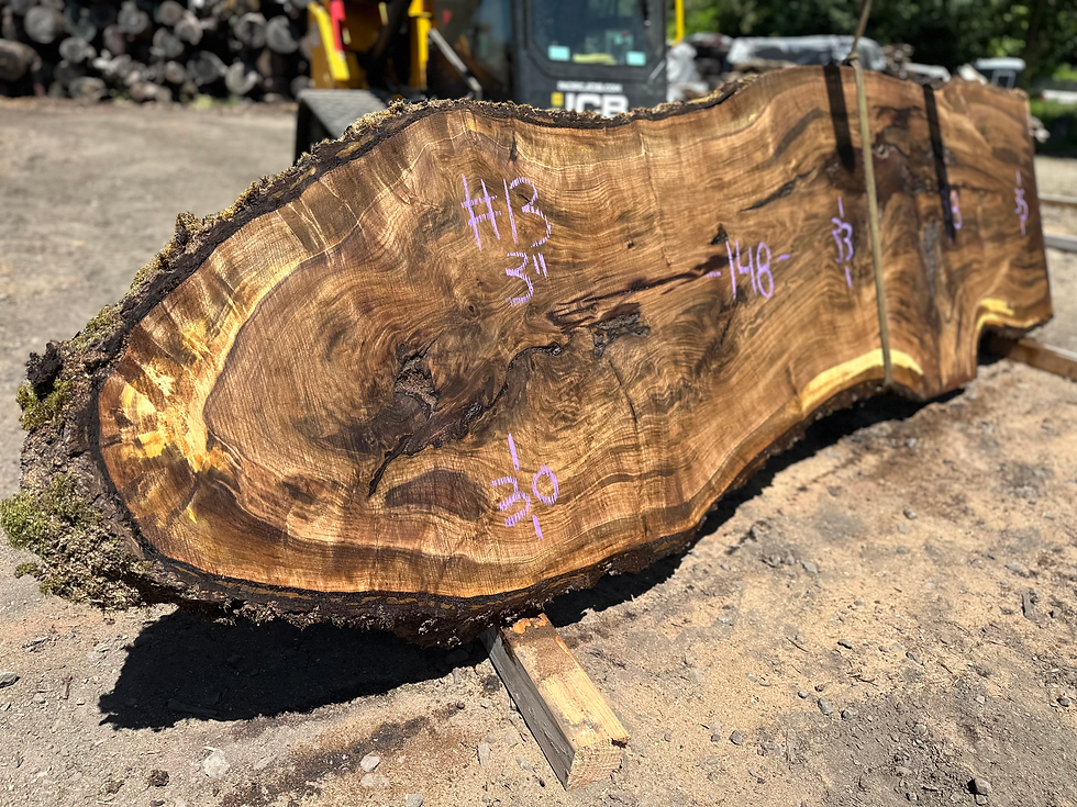 Thumbnail: Black Walnut 052824-13