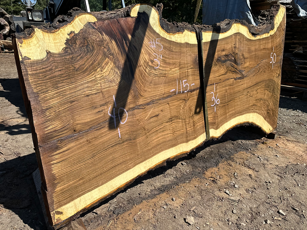 Thumbnail: Black Walnut 082324-5