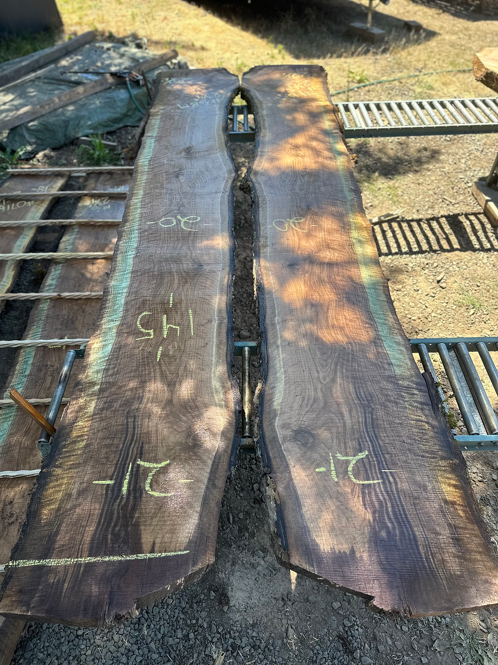 Thumbnail: CURLY Black Walnut Bookmatch 071623-4/5