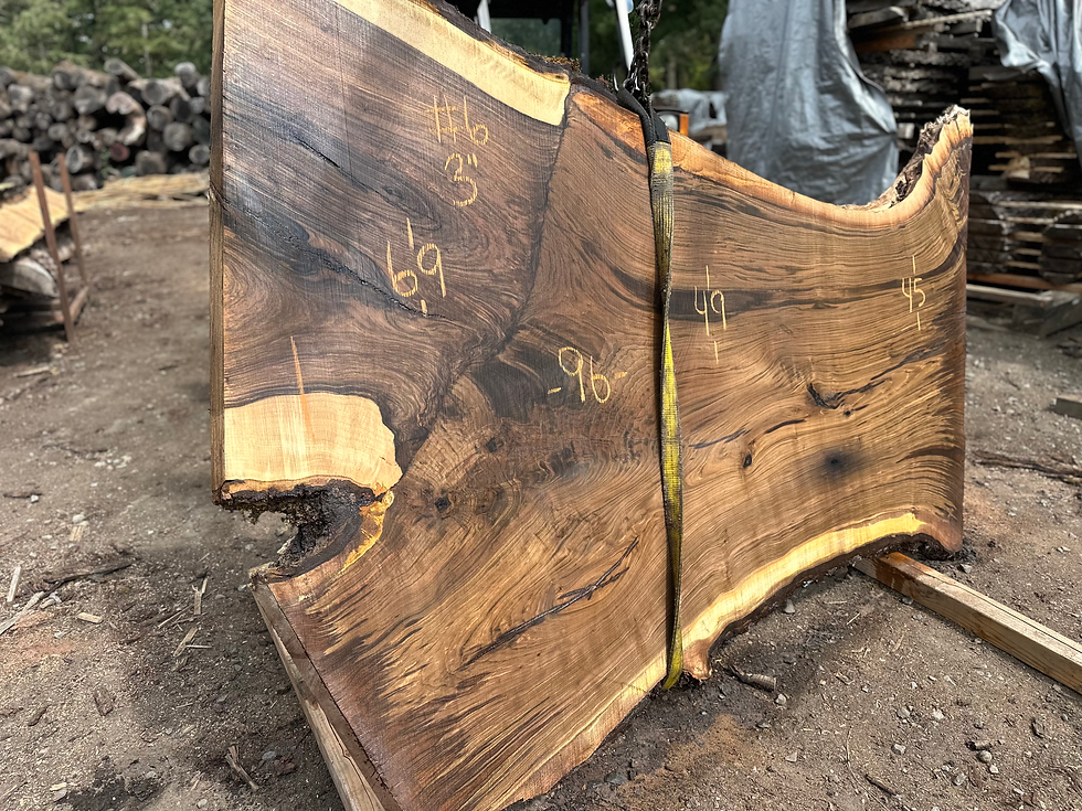 Thumbnail: Claro Grafted English Walnut 081524-6