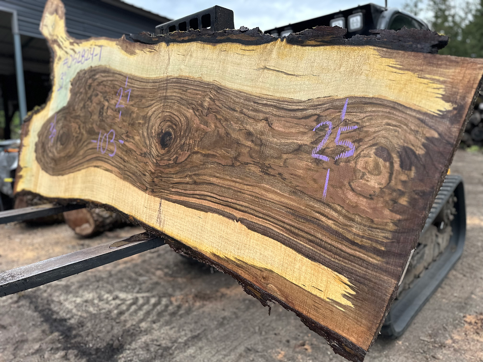 Thumbnail: Bastogne Walnut 052824-1