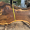 Thumbnail: Claro Grafted English Walnut 081524-3