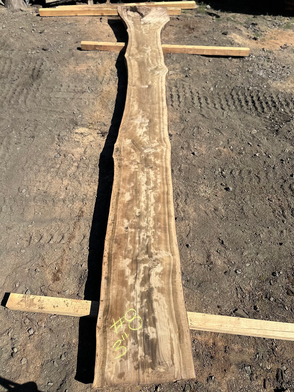 Thumbnail: Black Walnut 091323-8