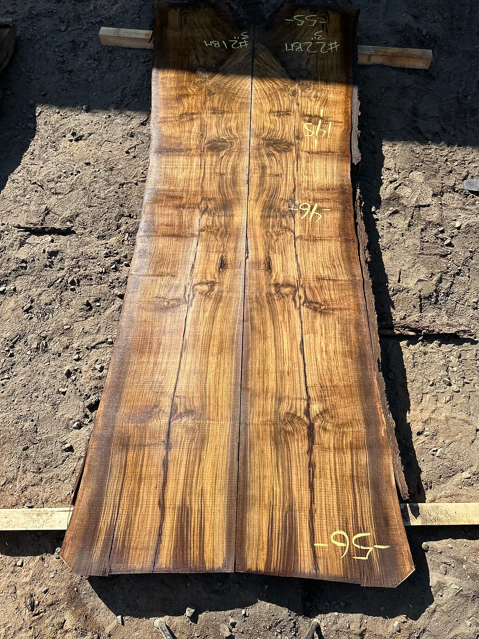 Thumbnail: Black Walnut Bookmatch 091923-21/22