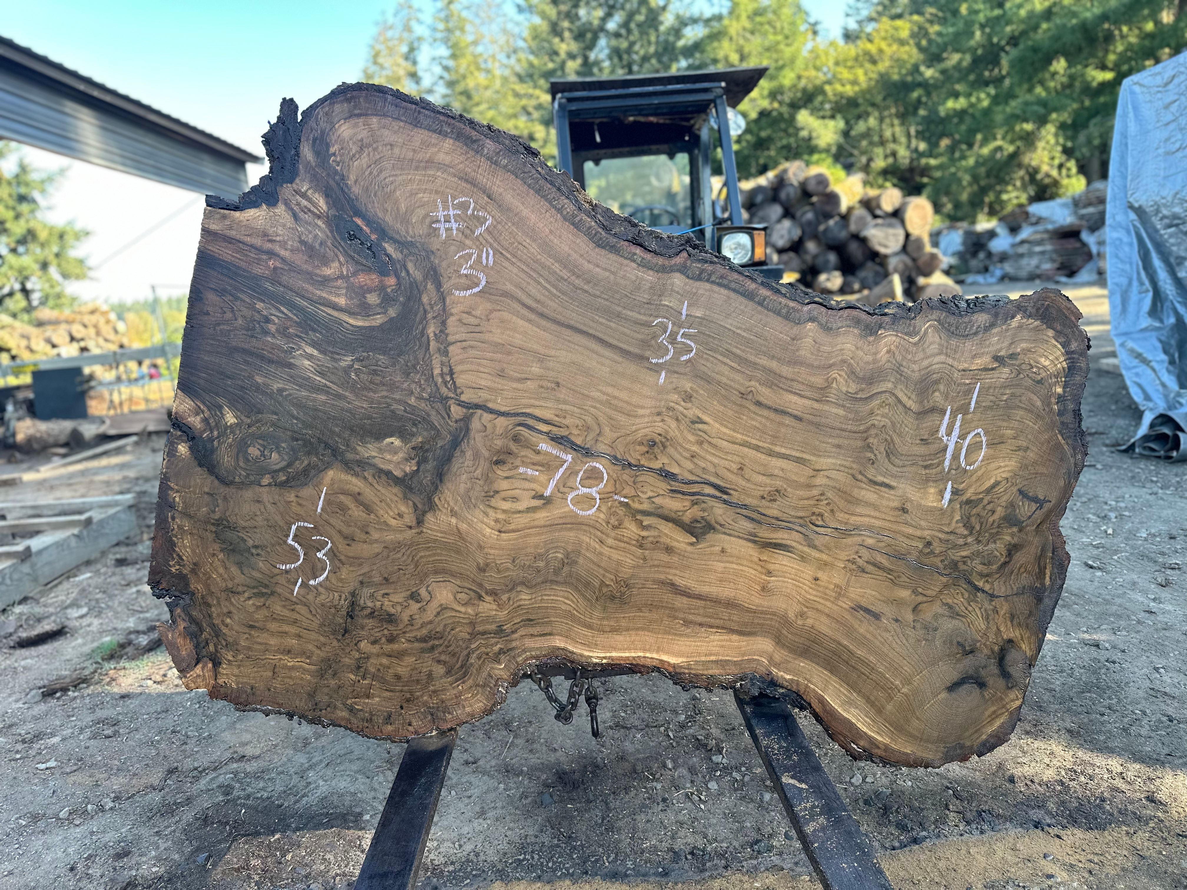 Claro Walnut Cluster 082724-3