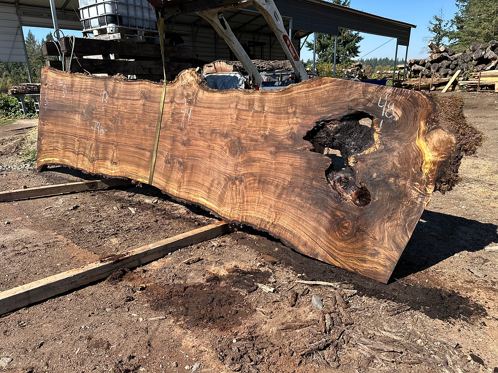 Thumbnail: Black Walnut 092325-2
