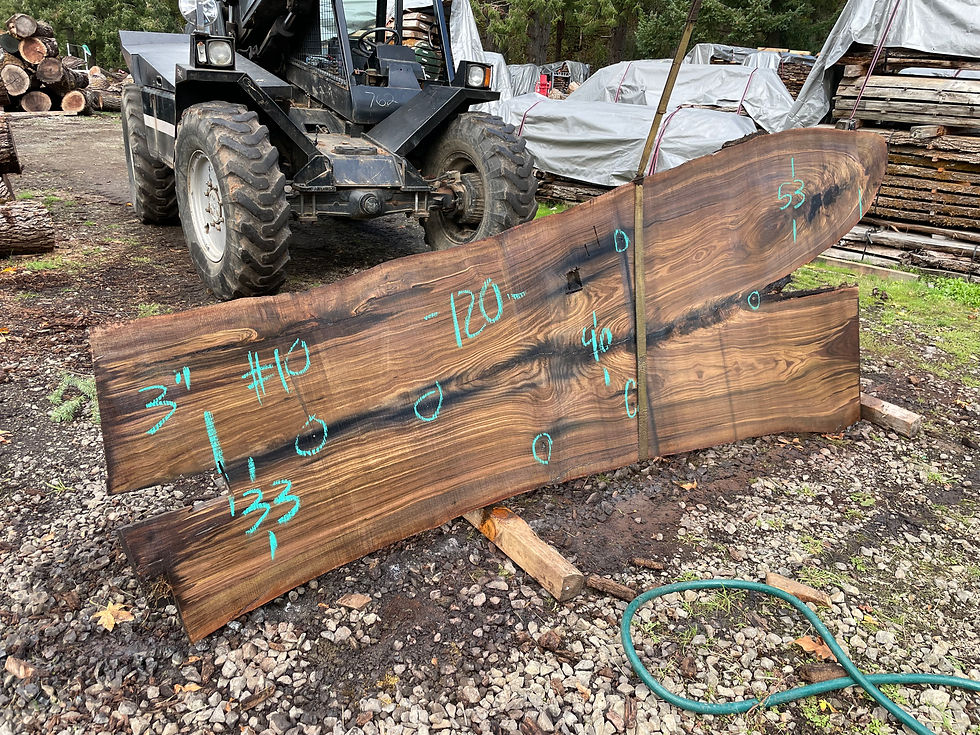 Thumbnail: Black Walnut 100621-10