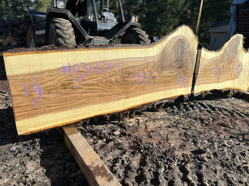 Thumbnail: Black Walnut 031824-1